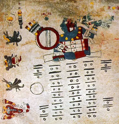 imagen codice cospi