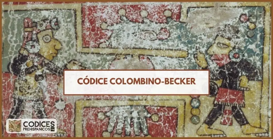 codice colombino becker