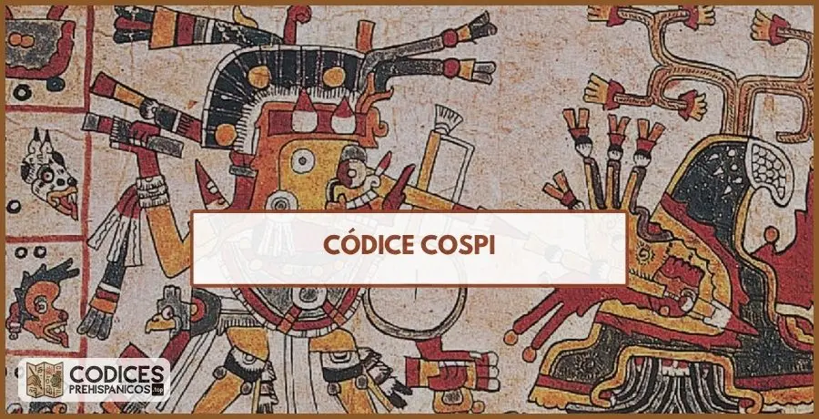 el codice cospi
