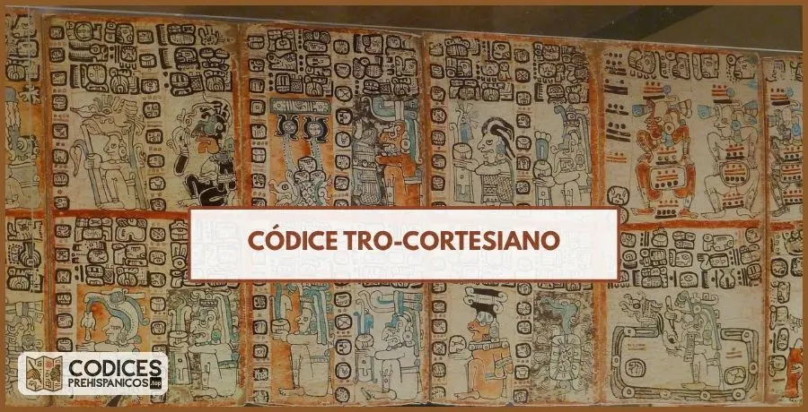 codice trocortesiano