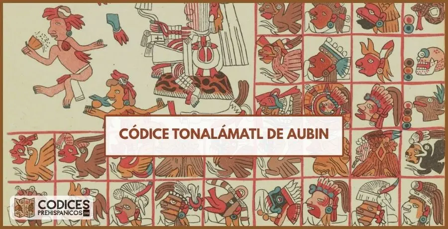 el codice tonalamatl de aubin